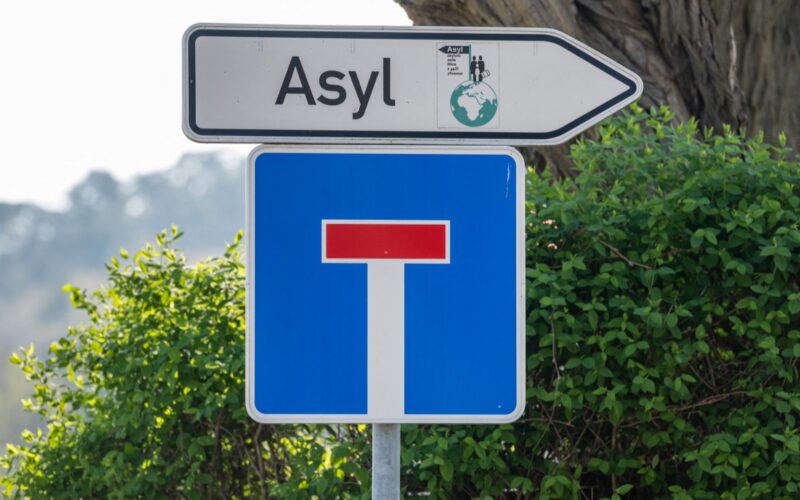 German NGO Plans Mass Migrant Evacuation as AfD Rises in Polls