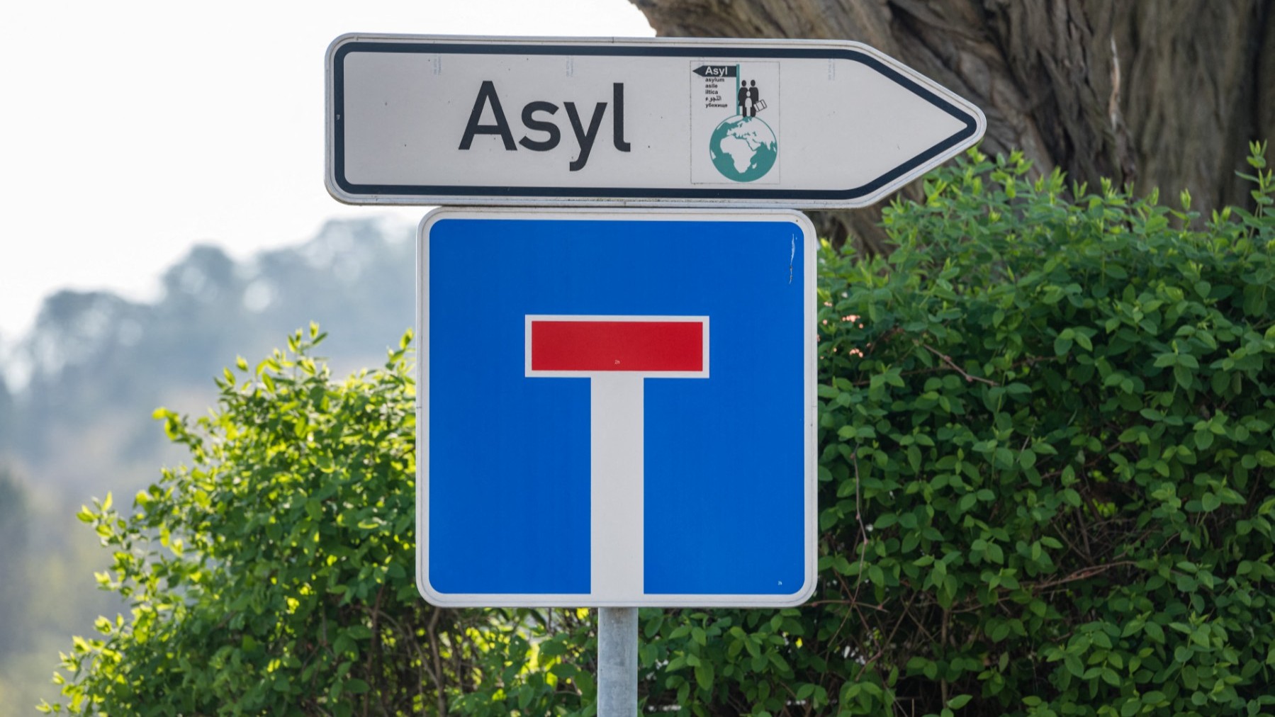 German NGO Plans Mass Migrant Evacuation as AfD Rises in Polls