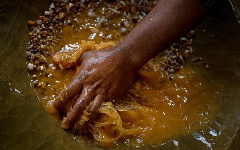 US Must Halt Terror-Driven Gold Rush Looting Venezuela
