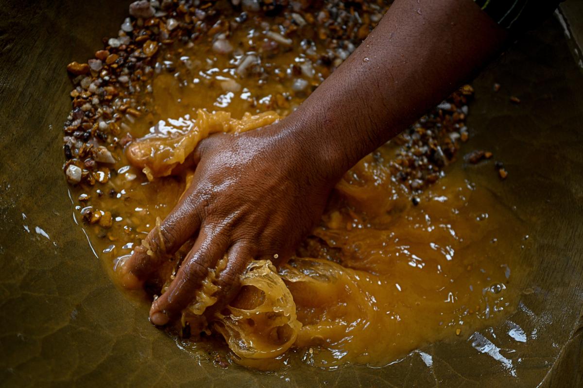 US Must Halt Terror-Driven Gold Rush Looting Venezuela