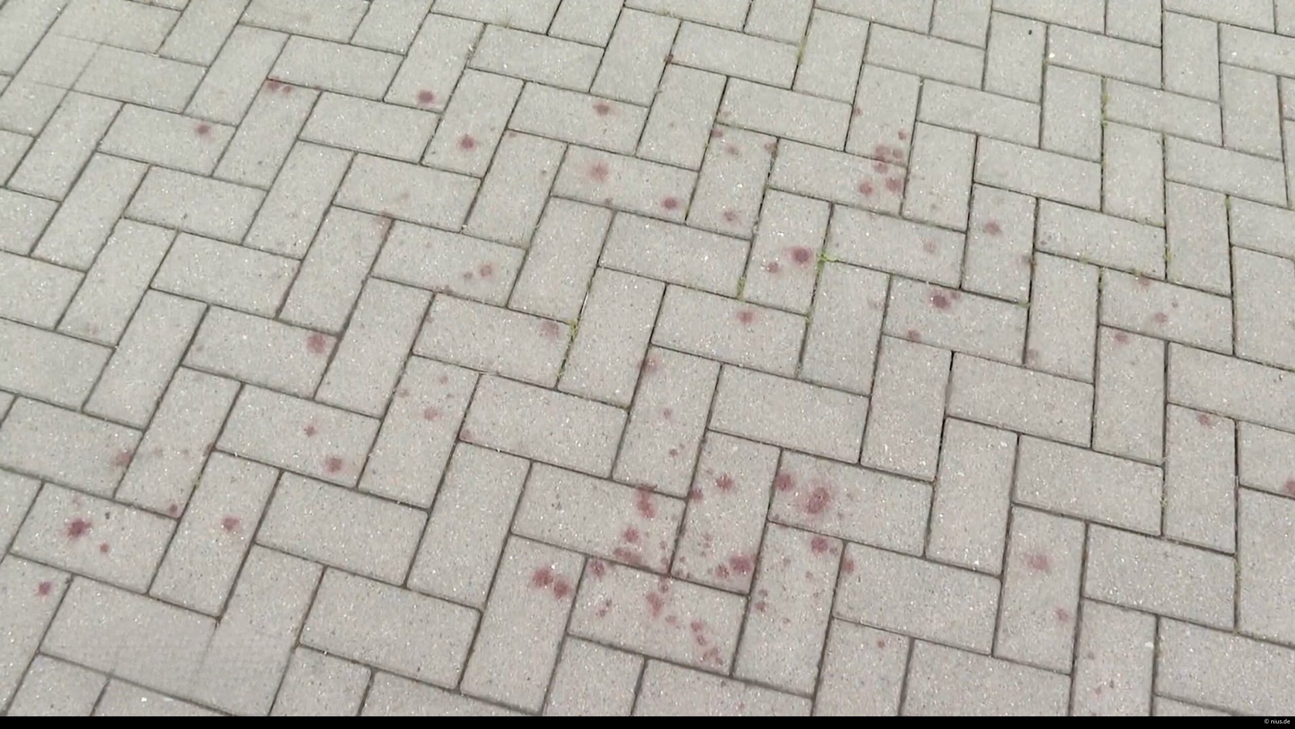 Blutspuren nach der Tat.