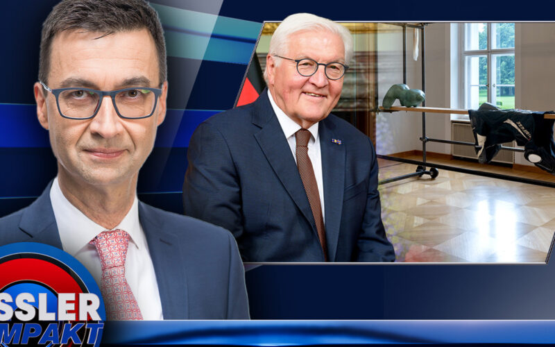 Steinmeier’s Dignity Deficit: Sex Doll Incident at Bellevue Palace