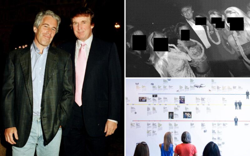Epstein Obsessed With Taking Down Trump Before Death: Report