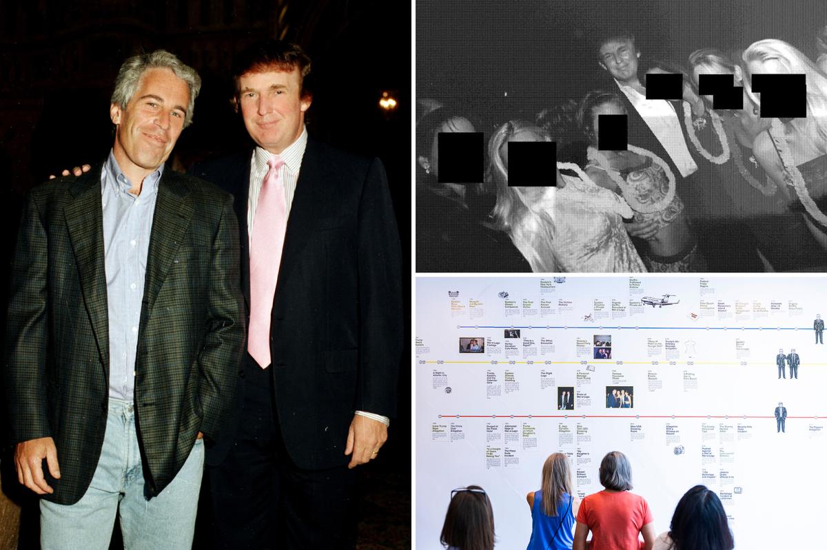 Epstein Obsessed With Taking Down Trump Before Death: Report