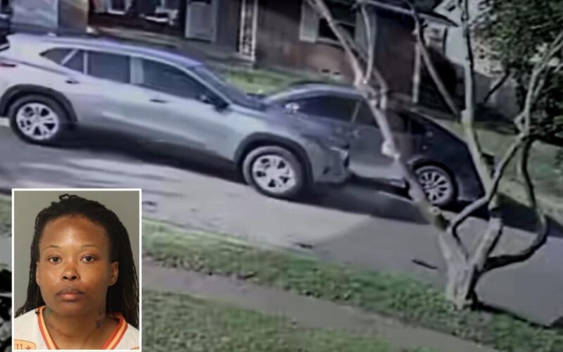 Texas Woman Lures Ex-Husband With Fake Pizza, Shoots Him 18 Times