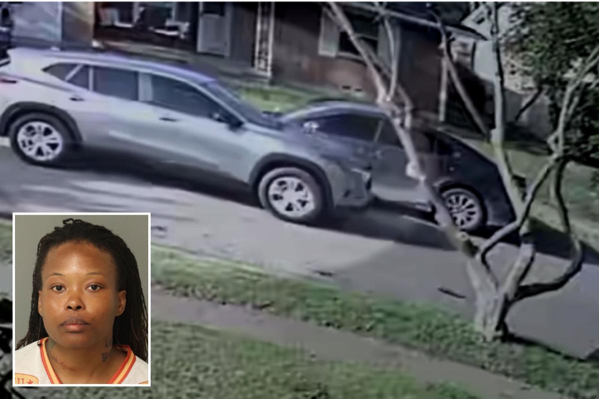 Texas Woman Lures Ex-Husband With Fake Pizza, Shoots Him 18 Times