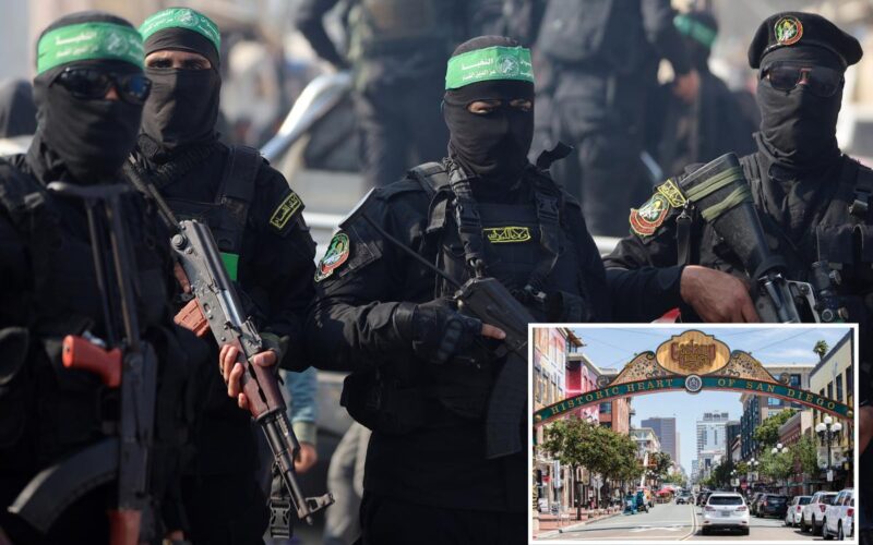 San Diego Man Arrested in Terror Plot After Raising Large Sums