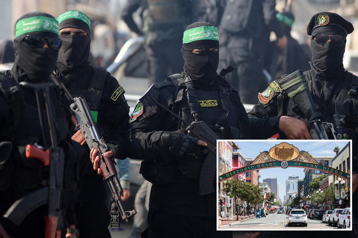 San Diego Man Arrested in Terror Plot After Raising Large Sums