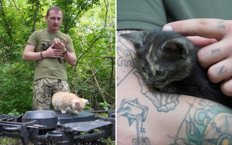 Ukrainian ‘Vampire’ Drone Rescues Cat Family From Frontlines