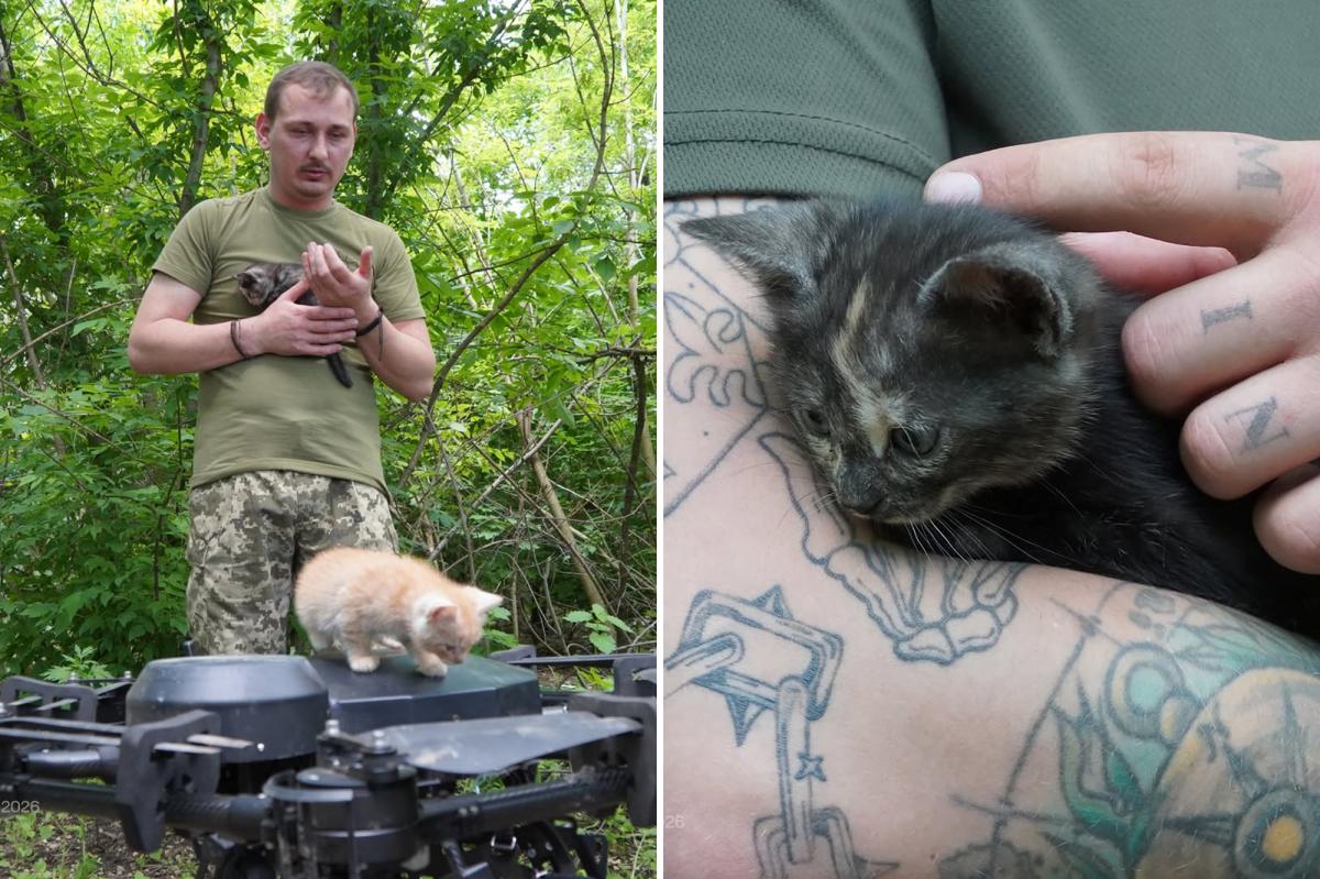 Ukrainian ‘Vampire’ Drone Rescues Cat Family From Frontlines