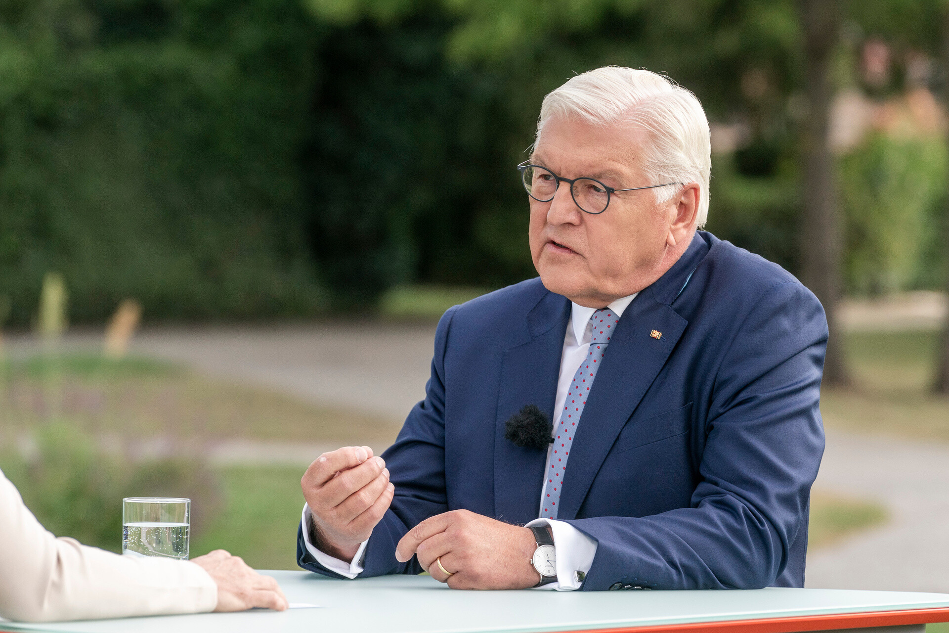 Steinmeier Accuses Citizens of Voting Against Democracy