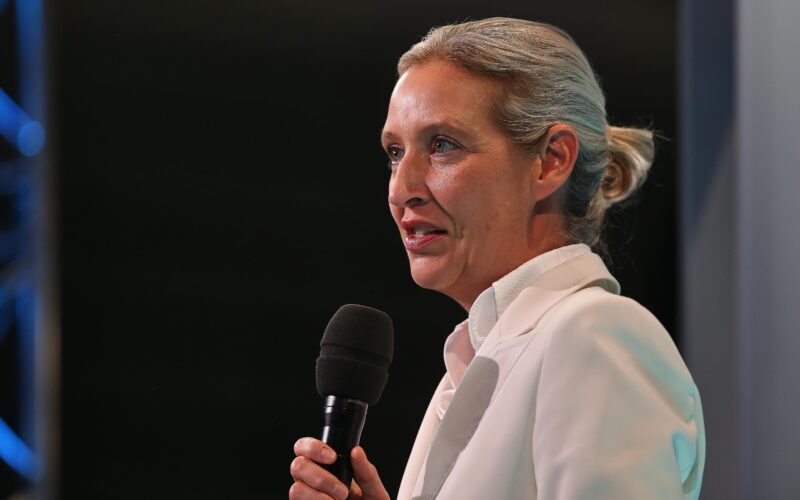 Weidel Rejects Saxony-Anhalt AfD’s Family Vision