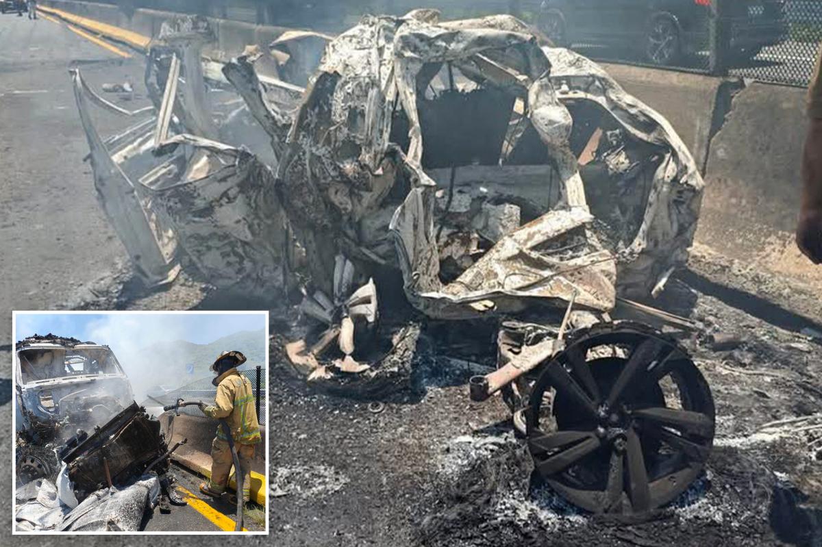 Four Americans Killed in Mexico Highway Pileup Tragedy