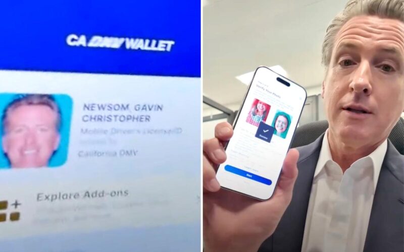 California driver licenses change forever under new ‘modernization’ plan