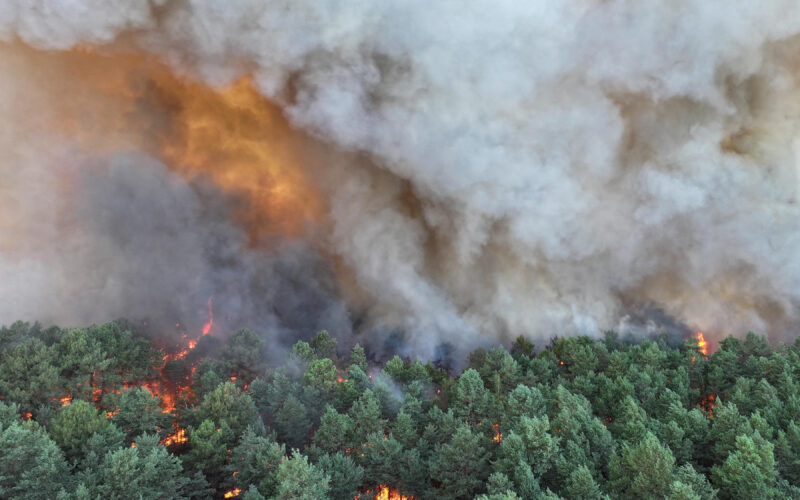Wildfire Near Paris Sparks Massive French Firefighting Response