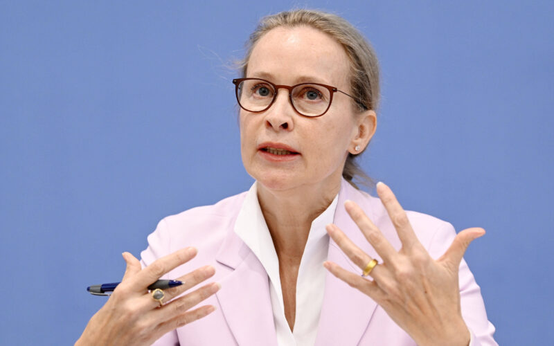 Constitutional Expert Brosius-Gersdorf Attacks Union Sharply in Surrogacy Debate