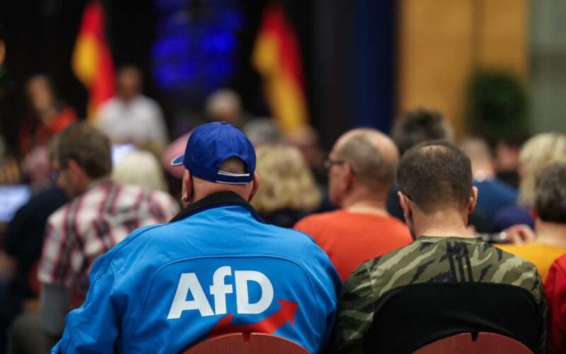 AfD unveils 100-day plan against mass migration in Saxony-Anhalt