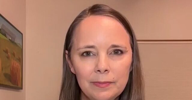 Maine Dem Senate Candidate Pushes to Abolish ICE in Bid to Oust Collins