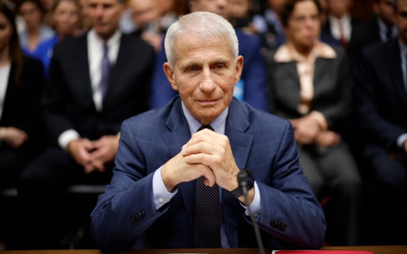 Devine: Fauci Was the ‘Big Head’ of Failed COVID Response