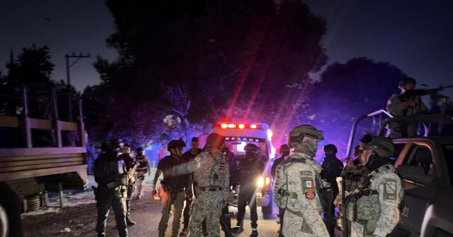 Two Mexican Cartel Leaders Posing as Vigilantes Face Terror Charges