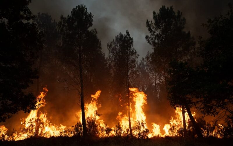 Firestarters Light the Flames, Bureaucracy Feeds Them
