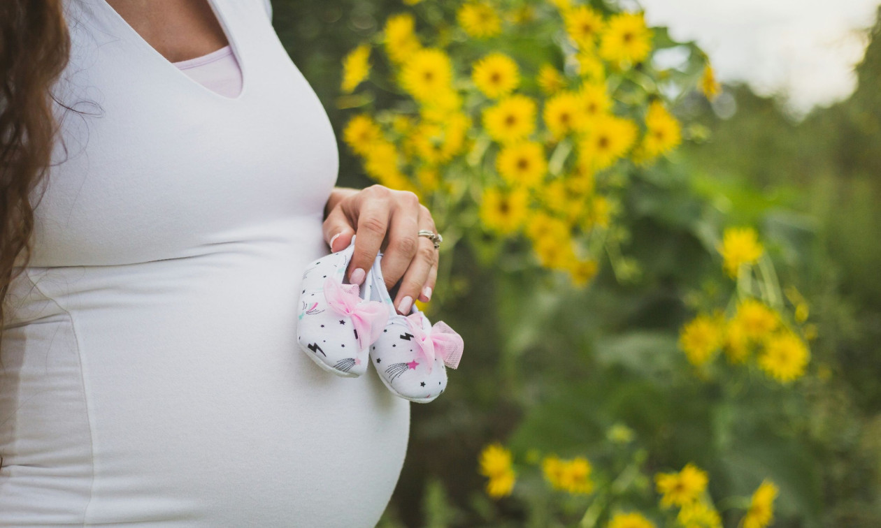 US plan to ban entry of pregnant women for security reasons