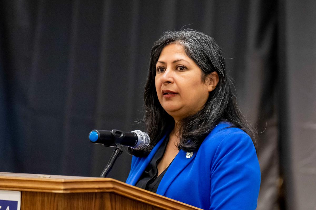 Rotary elevates anti-Israel conspiracy theorist in OC