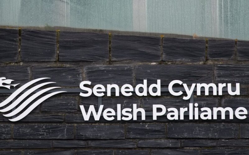 Welsh Parliament Offers Free Tampons to Men in Woke Move