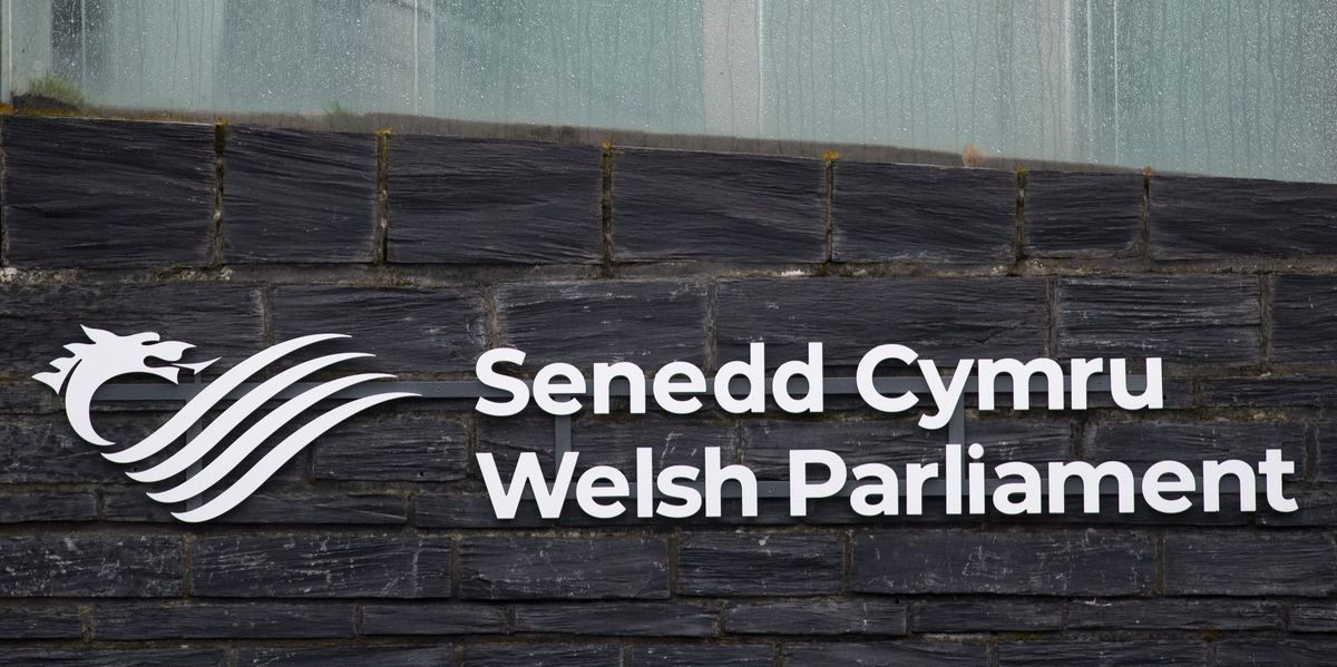 Welsh Parliament Offers Free Tampons to Men in Woke Move