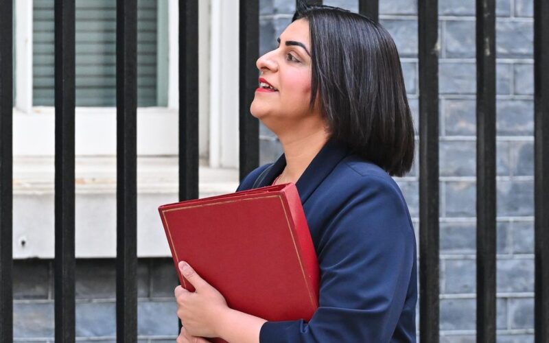 Illegal migrants forming UK families lose deportation appeal rights