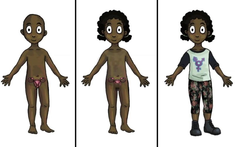 Taxpayer-funded trans dolls with removable genitalia for kids 4+