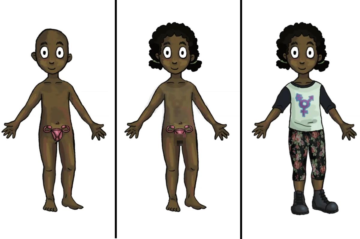 Taxpayer-funded trans dolls with removable genitalia for kids 4+