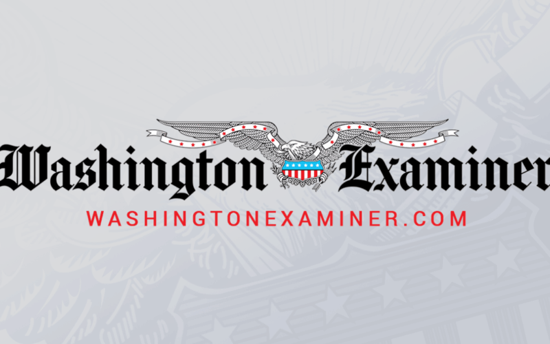 Congress Probes Bank’s Nazi-Era Ties Decades After Holocaust