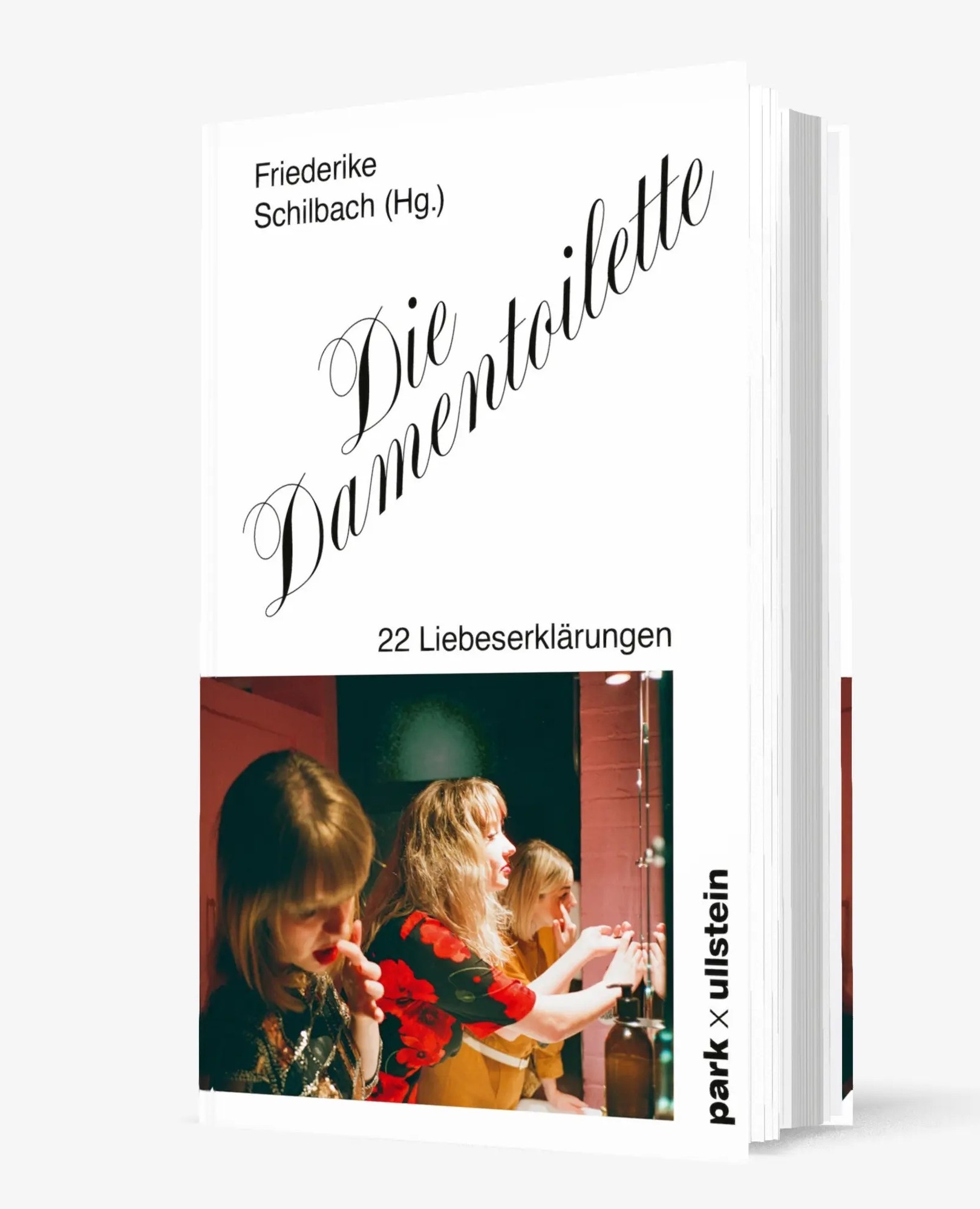 Der Begriff „Schnatterzone“ geht auf eine kontroverse Buchbesprechung des ARD-Literaturkritikers Denis Scheck in der Sendung Druckfrisch zurück.