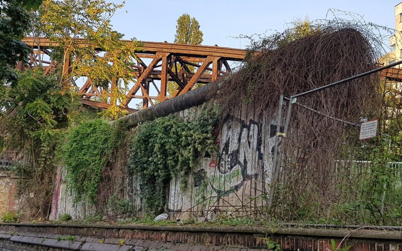 Germany’s Cultural Suicide Accelerates Under Green Politics