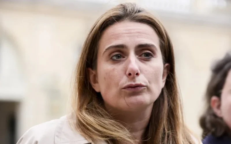 French Green Leader Demands X Ban During Elections