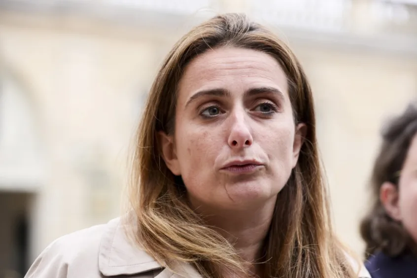 French Green Leader Demands X Ban During Elections