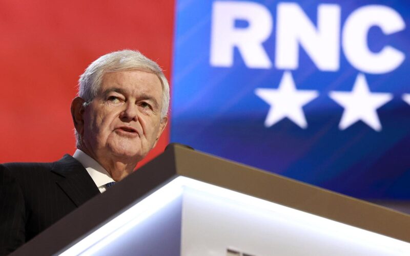 Gingrich: Senators Should Exploit ‘Weird’ Socialist Values to Win