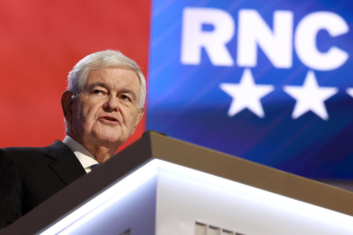 Gingrich: Senators Should Exploit ‘Weird’ Socialist Values to Win