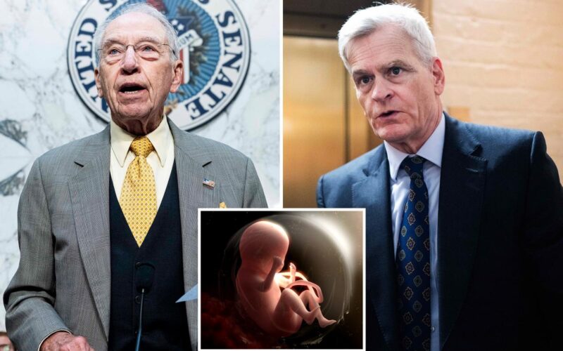 Pro-lifers demand probe of NIH using aborted fetal tissue