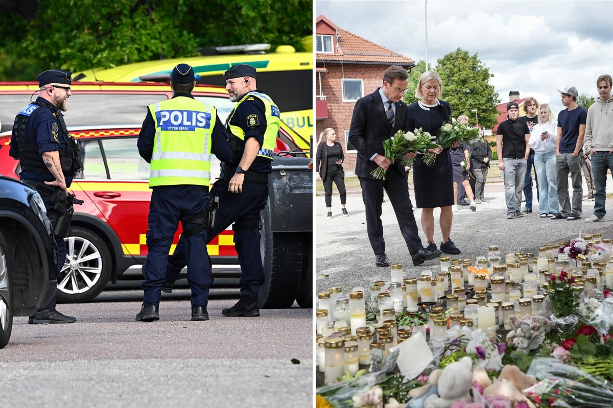 Teen Swordsman Kills One in Swedish School Attack