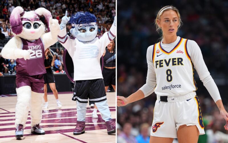 WNBA team unveils queer turtle mascot to mock Fever star