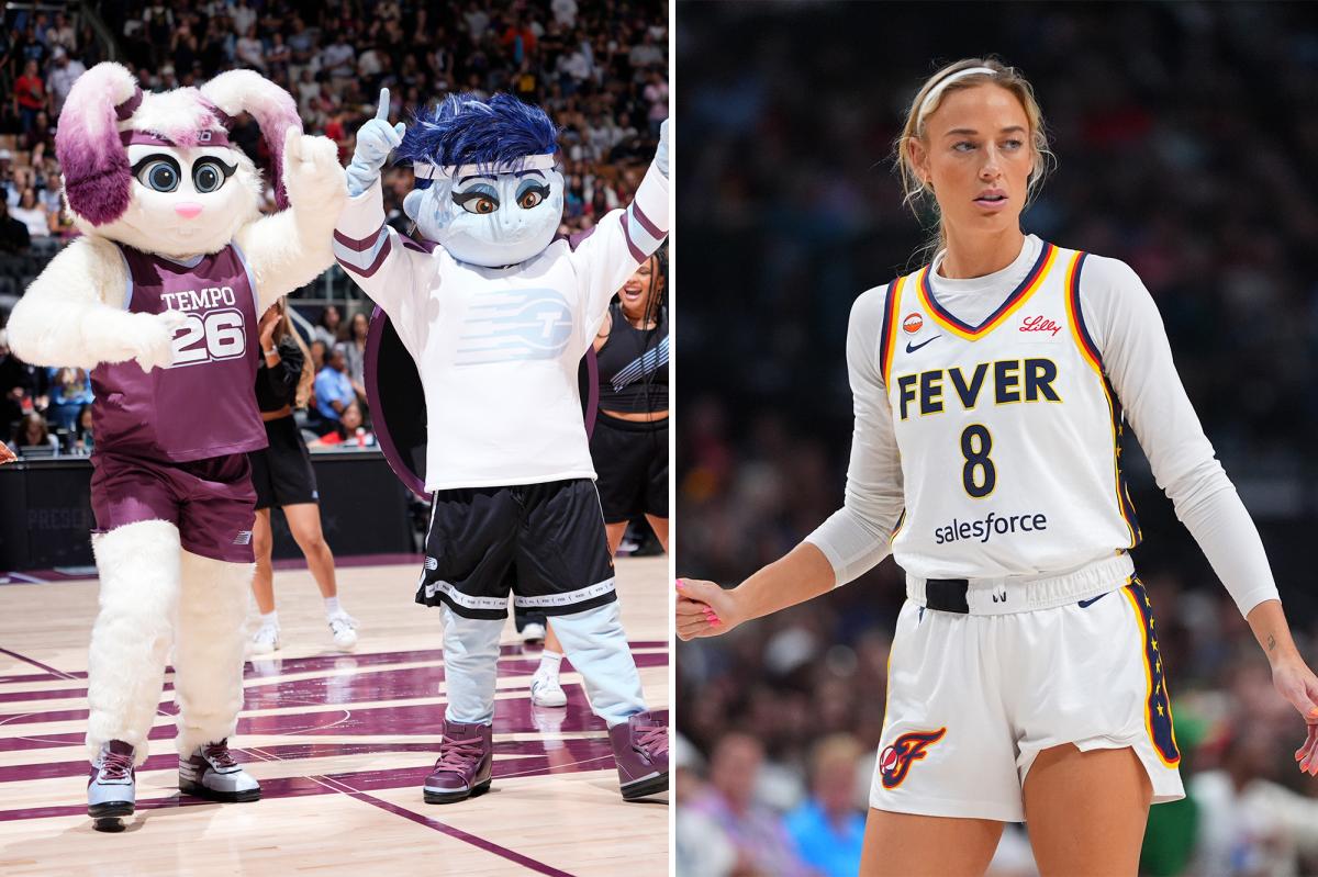 WNBA team unveils queer turtle mascot to mock Fever star