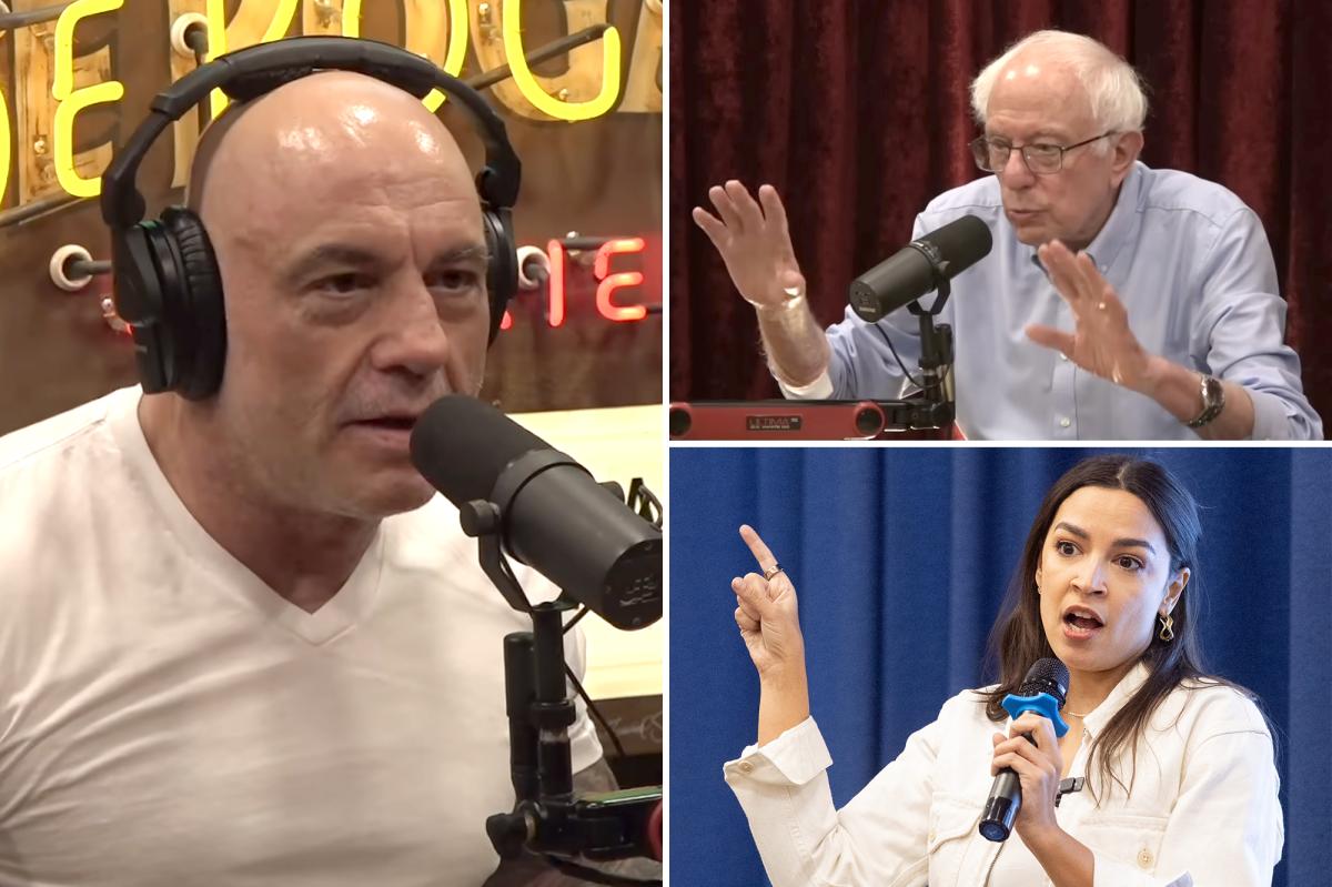 Joe Rogan Slams Dems Who Won’t Admit ‘Woke 1.0’ Went Too Far