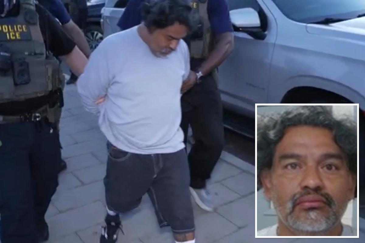 5-time illegal entrant admits ‘mistake’ that got him busted by ICE