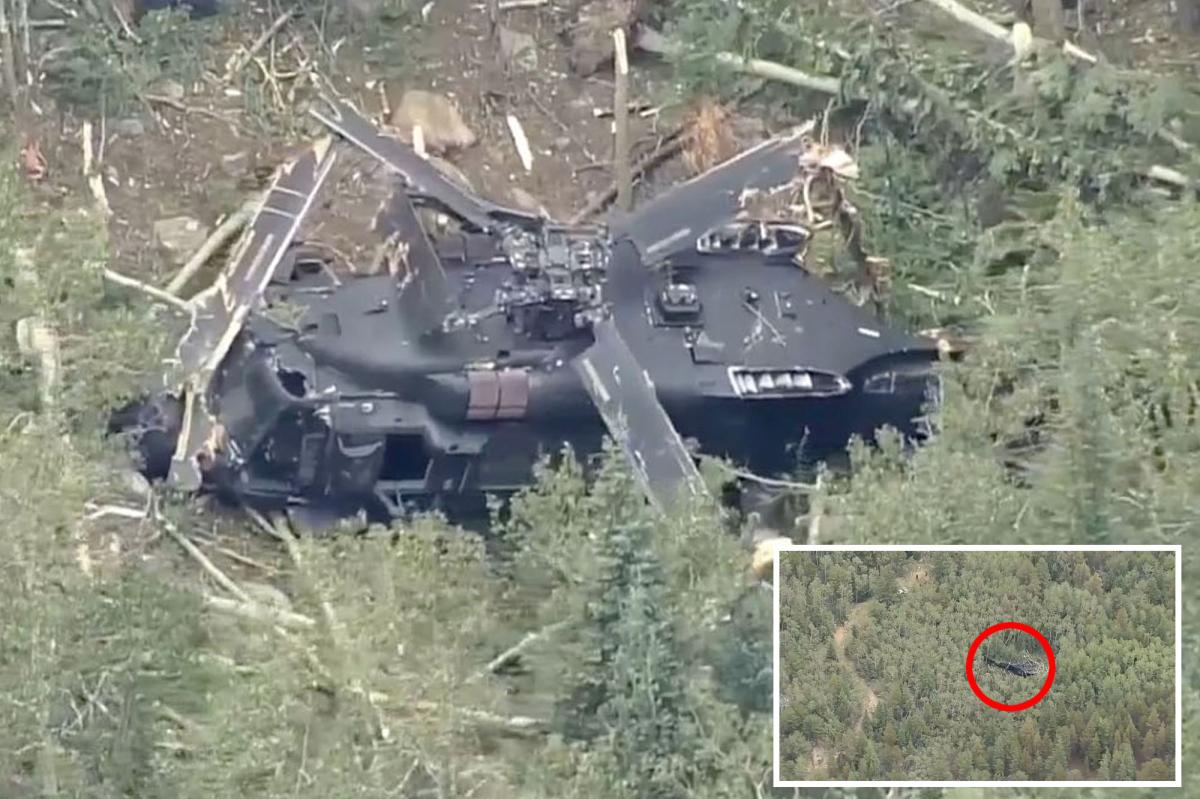 US Army Black Hawk Crashes During Training Exercise