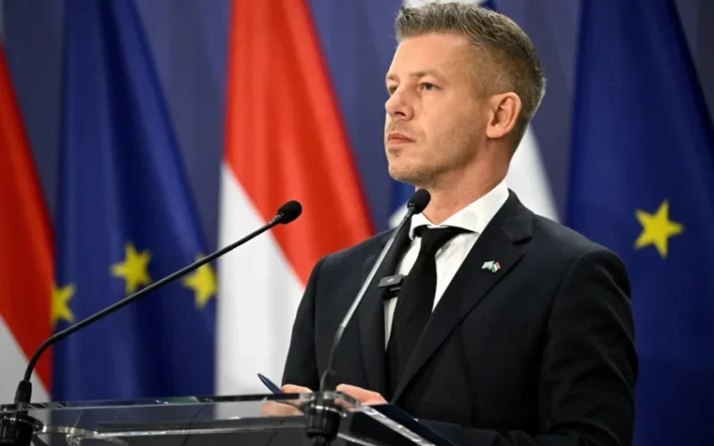 Hungary’s Tisza Party Taps Ousted Judge Baka for President