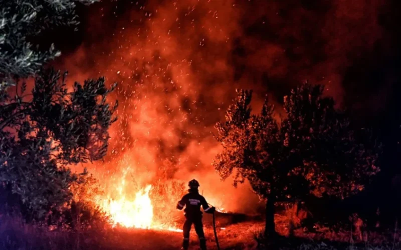 Wind Farm Cables Sparked Massive Greek Wildfire