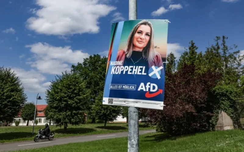 Court Upholds Gun Permit Revocations for AfD Members