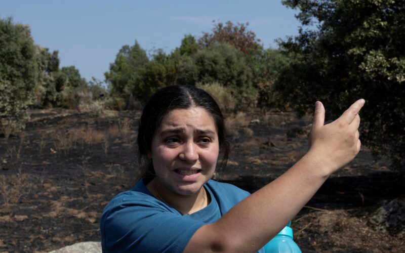 Europe Faces Scorching Summers as Heatwaves and Wildfires Surge